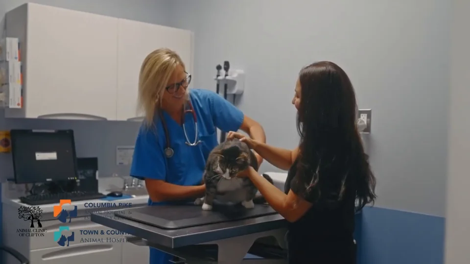 Dr. Heather Kirchart | Columbia Pike Animal Hospital and Emergency