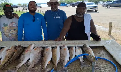 San Antonio Report Video 0