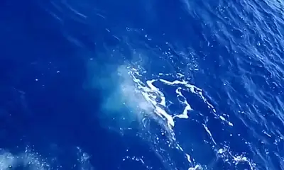 San Jose del Cabo Report Video 0