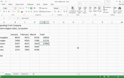 Introduction to Spreadsheets - Basic Formula: Adding Numbers in a ...