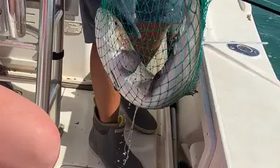 great time with Torre