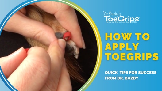 Dr. Buzby's ToeGrips Dog Nail Grips, 20 count