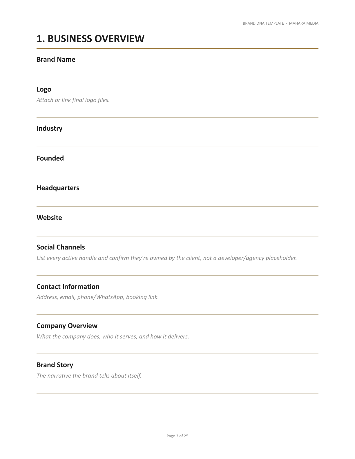 Master Brand DNA template: business overview section