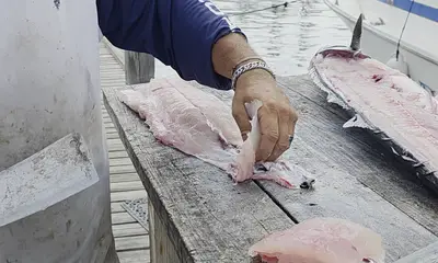 Absolutely wonderful