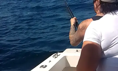 San Jose del Cabo Видео отчет 0