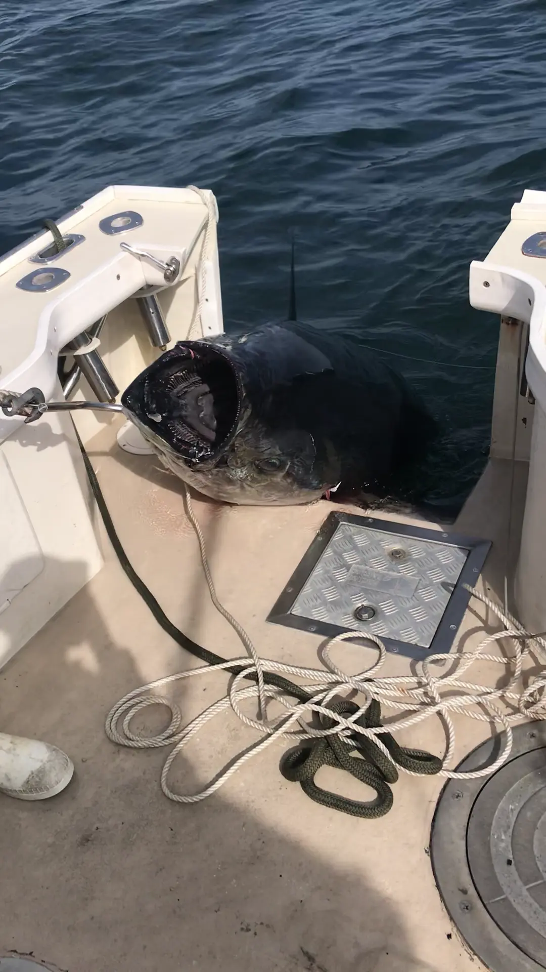 Business Card: Bay State Sportfishing