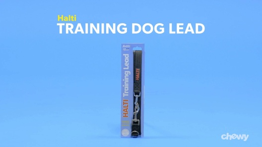 Play Video: Learn More About Halti From Our Team of Experts