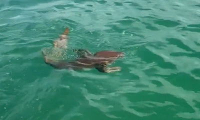 Capt Zach (Zoned In Charters)