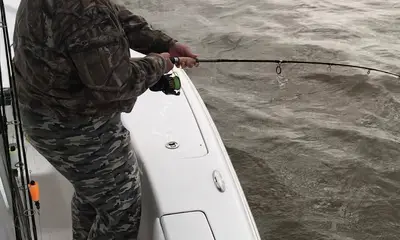 Venice Report Video 0