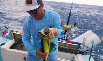 Puerto Vallarta Report Video 2