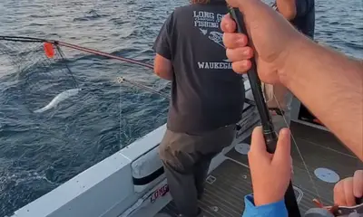 Dad, when can we go again?