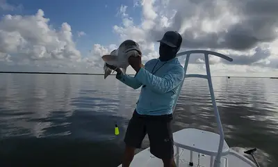 Port Sulphur Report Video 0