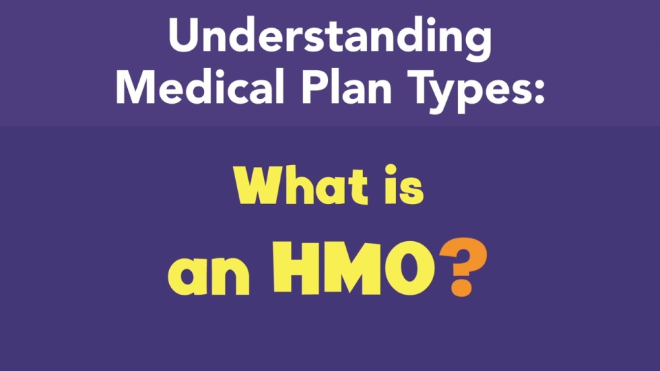 What is an HMO?