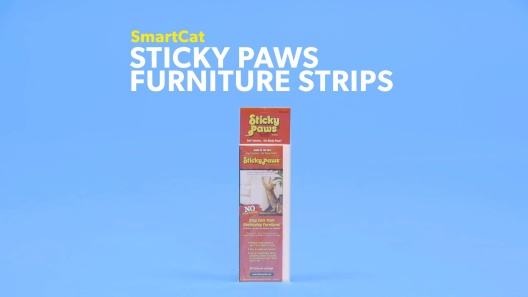 Play Video: Learn More About Sticky Paws From Our Team of Experts