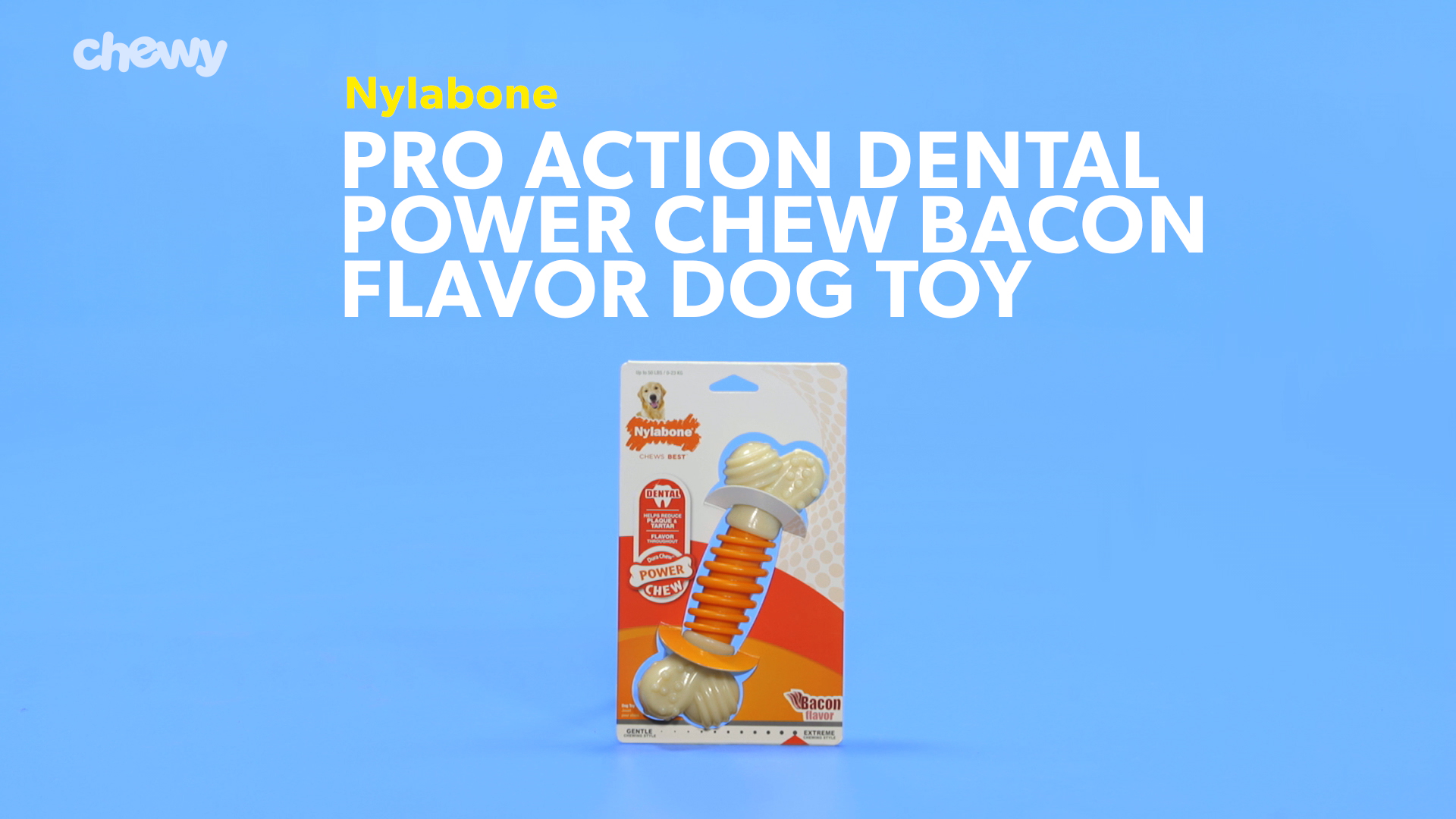 Nylabone pro 2024 action dental chew