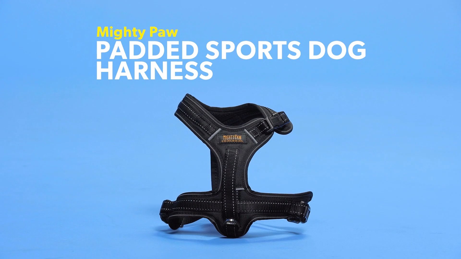 Mighty paw padded sports dog clearance harness