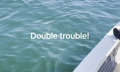 Plenty of Action on the Water!