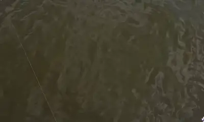 Jefferson Parish Report Video 1