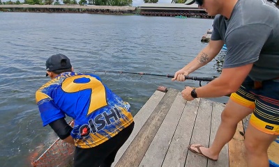 Bangkok Report Video 0
