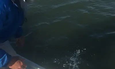Port O'Connor Report Video 0