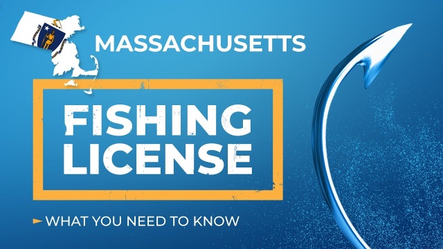 Massachusetts Driver's License Renewal: The Ultimate Guide