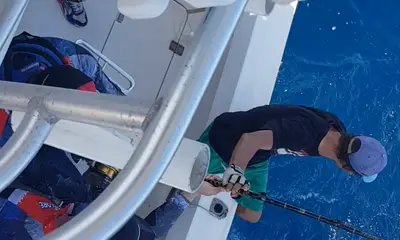 Faro Report Video 0