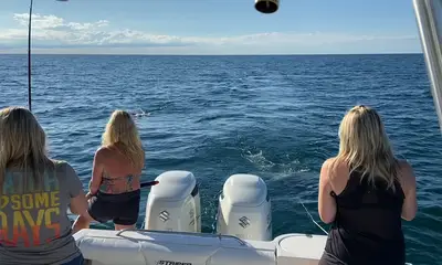Conneaut Report Video 0