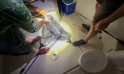 This is worth it!