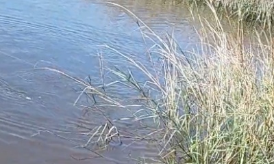 Jacksonville Report Video 1