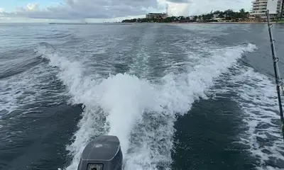Puerto Morelos Report Video 2