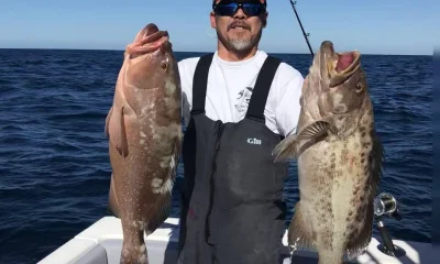 Madeira Beach Report Video 0