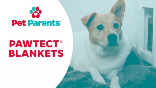 Play Video: Learn More About Pet Parents From Our Team of Experts