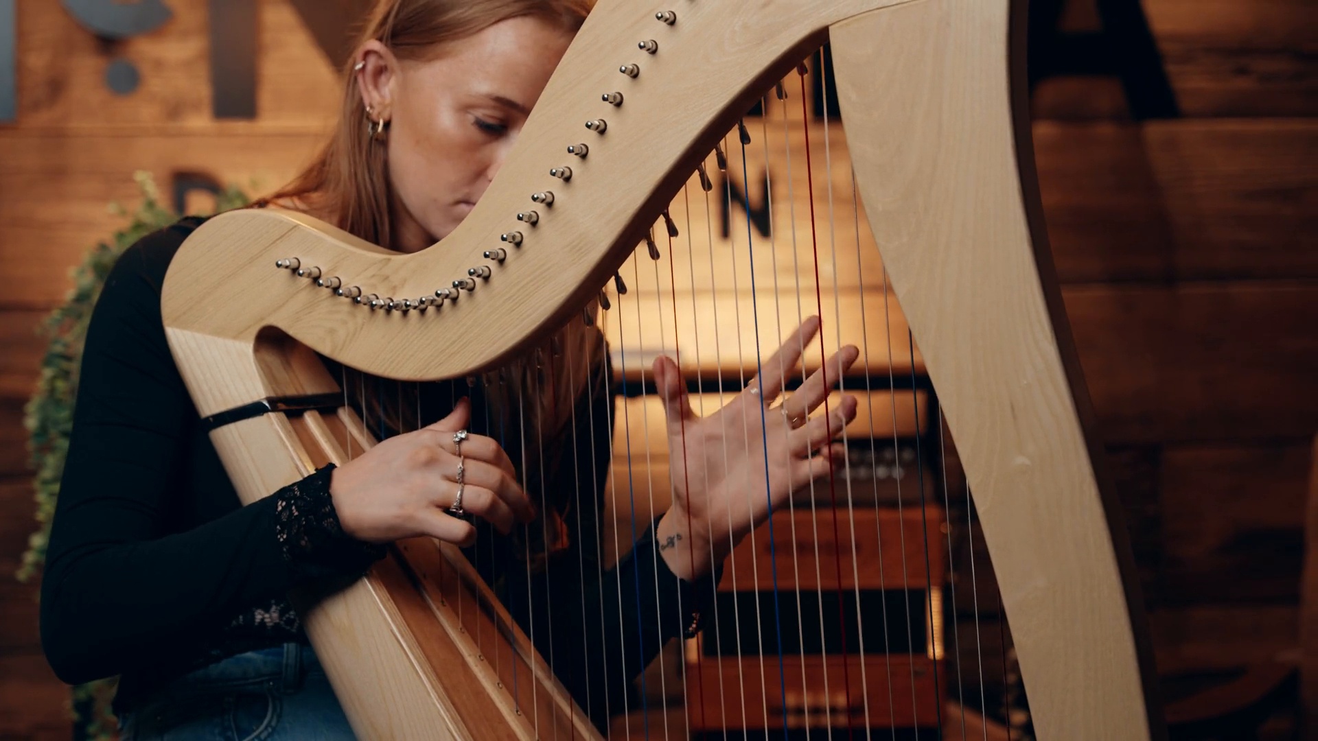 洋楽 Celtic Harp Lotus 34 | Harp 34 String - Mikel Harps