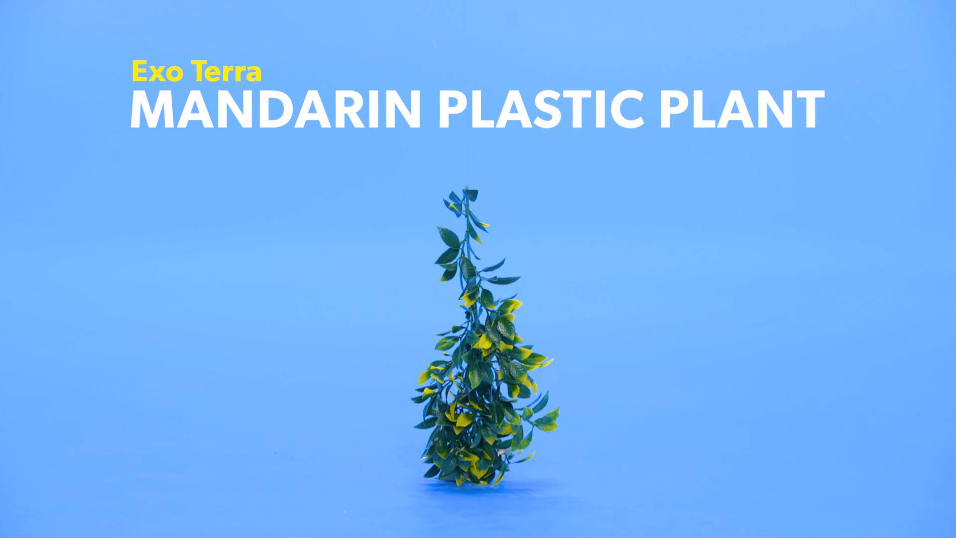 Exo Terra Plastic Terrarium Small Plant Bundle of 3 1-Croton, 1-Amapallo, and 1-Mandarin