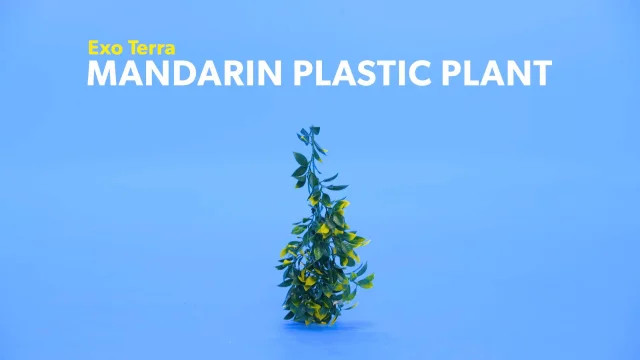 Plastic Terrarium Plant Mandarin Habitat Decor Small hanging plastic plant 
