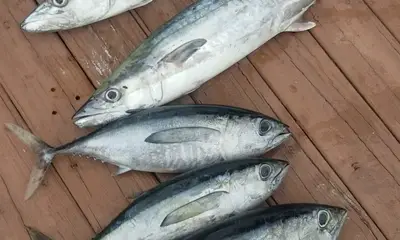 Pompano Beach Report Video 0