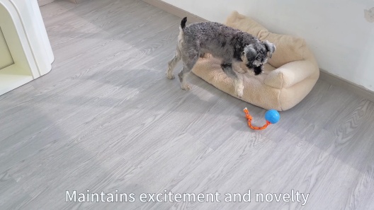 Potaroma Touch-Activated Ball Dog Toy with Chewing Rope & Animal Sounds, Blue