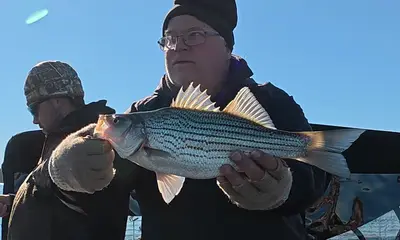 Mooresville Report Video 0