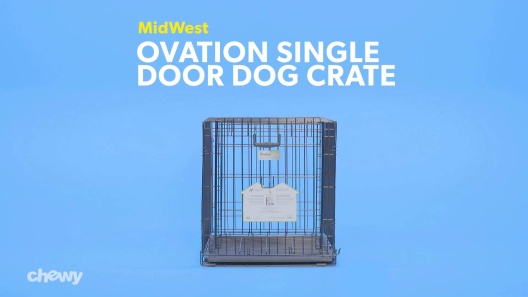 MIDWEST Ovation Single Door Collapsible Wire Dog Crate, 48-in 