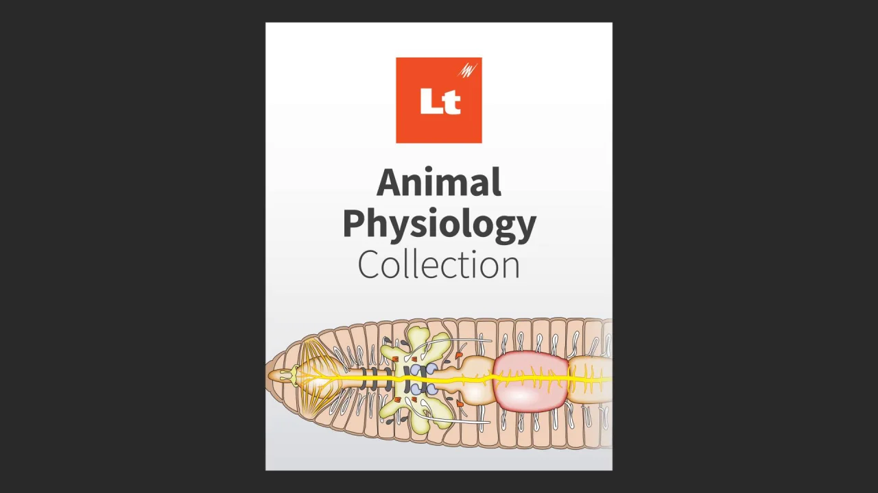 Lt | Animal Physiology Lessons & Labs | Online Learning Software | ADI