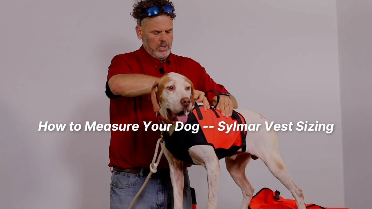 SYLMAR Hunting Dog Vest -- ORANGE Gun Dog Supply