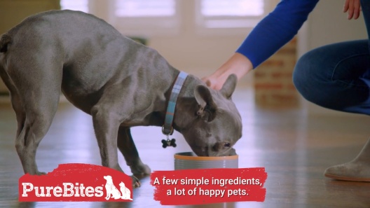 Play Video: Learn More About PureBites From Our Team of Experts