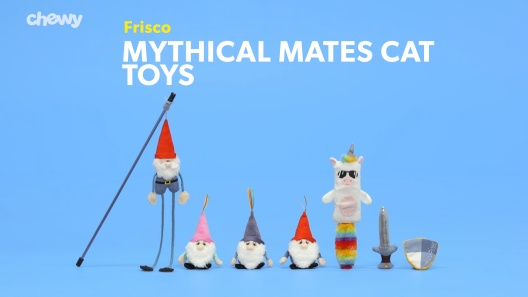 Play Video: Learn More About Frisco From Our Team of Experts