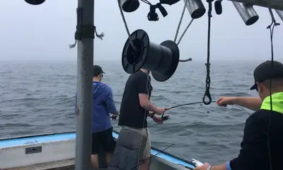Kittery Report Video 0