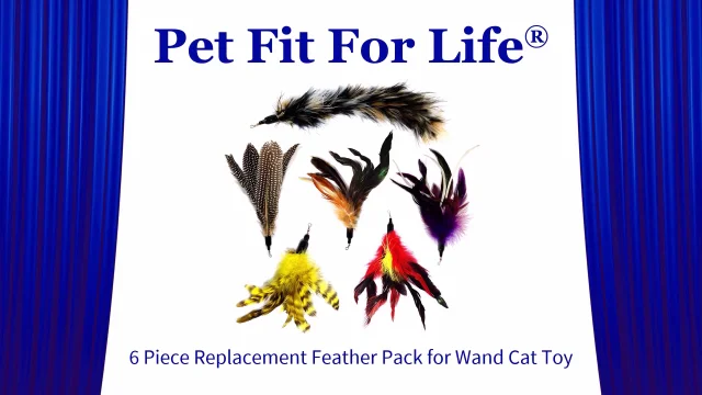 Pet Fit For Life Multi Piece Replacement Feathers Pack Plus Bonus Soft Furry Tail for Interactive Cat and Kitten Toy Wands 