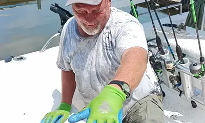 Willis Report Video 0