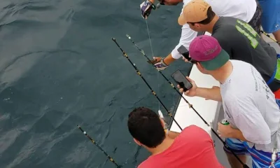 Destin Report Video 0
