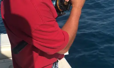 Belleair Bluffs Report Video 0