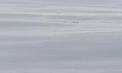 Freeport Видео отчет 1