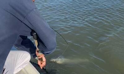 Miami-Dade County Report Video 3